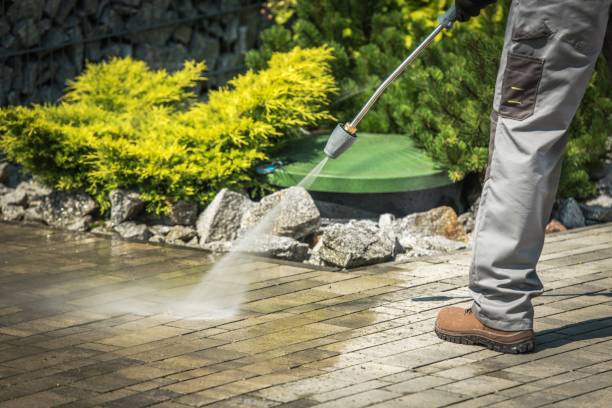 Best Brick and Stone Cleaning in Abbeville, GA