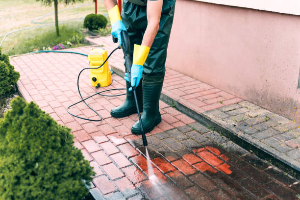 Best Driveway Cleaning and Restoration in Abbeville, GA